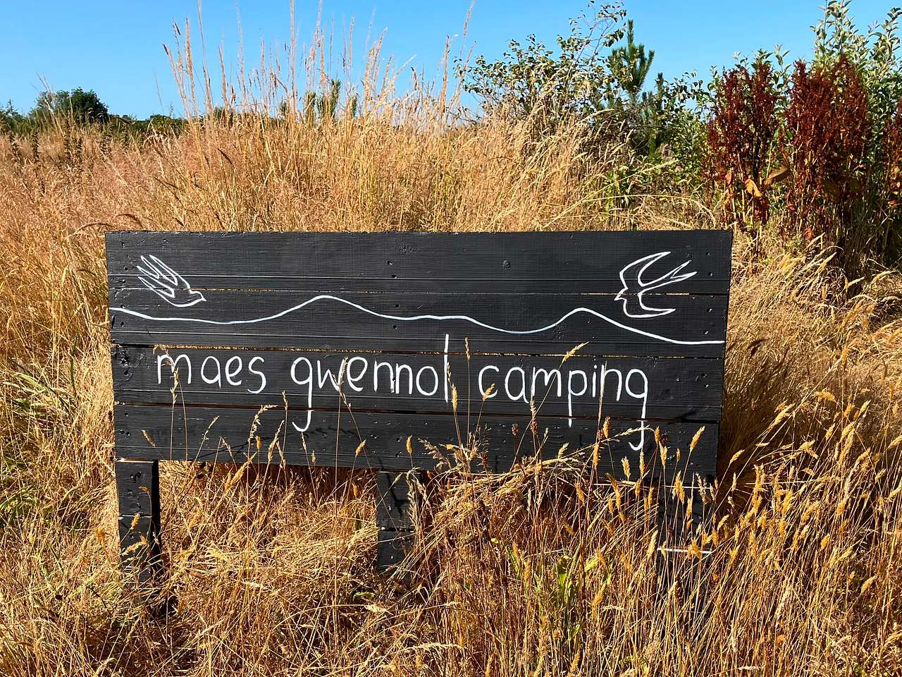 Maes Gwennol Camping