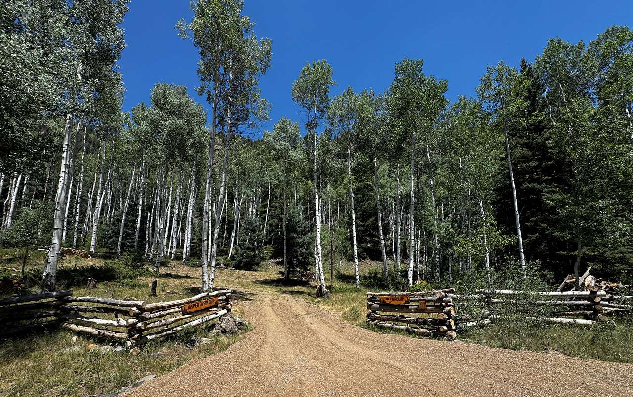 Jasper Overlook