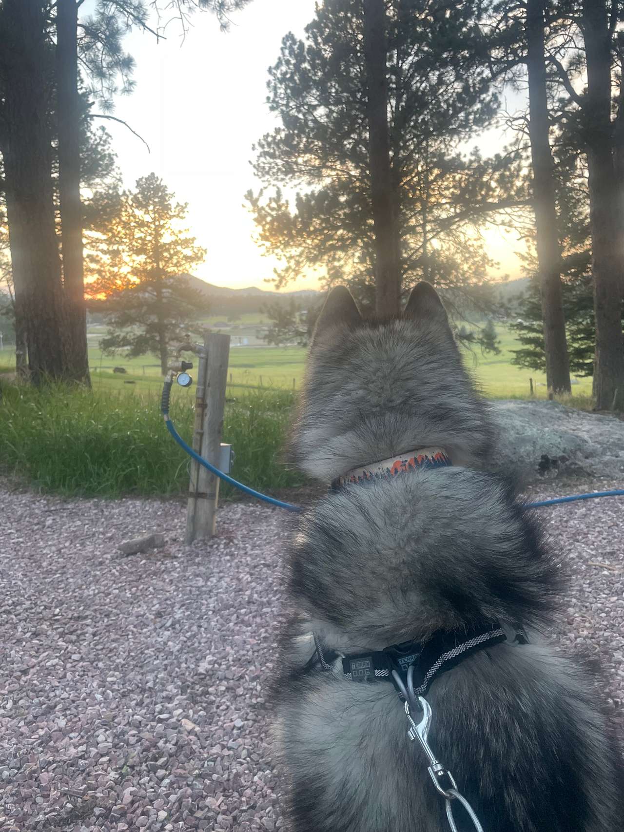 The Roost Resort
