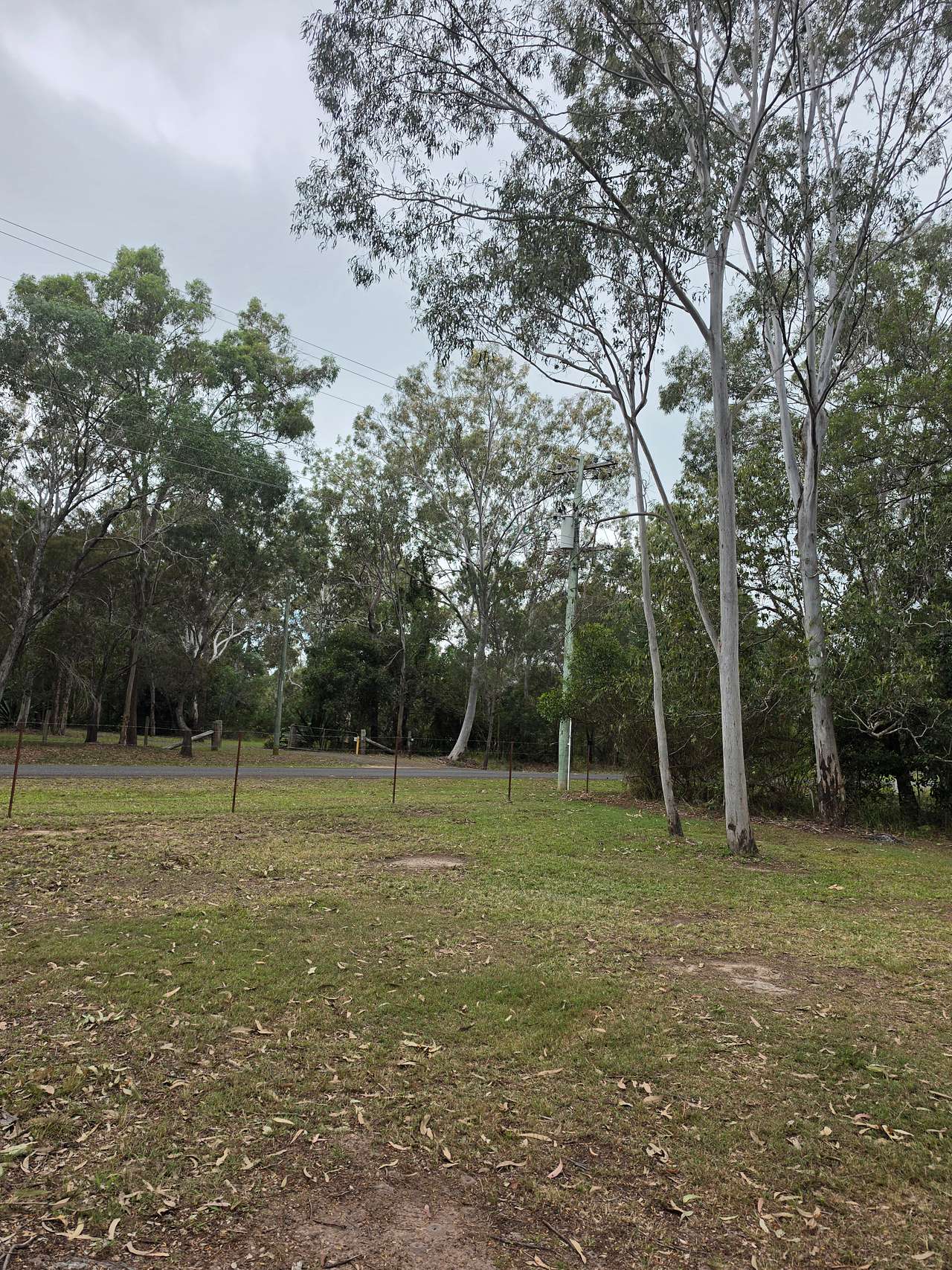 The Friendly Paddock - Hervey Bay