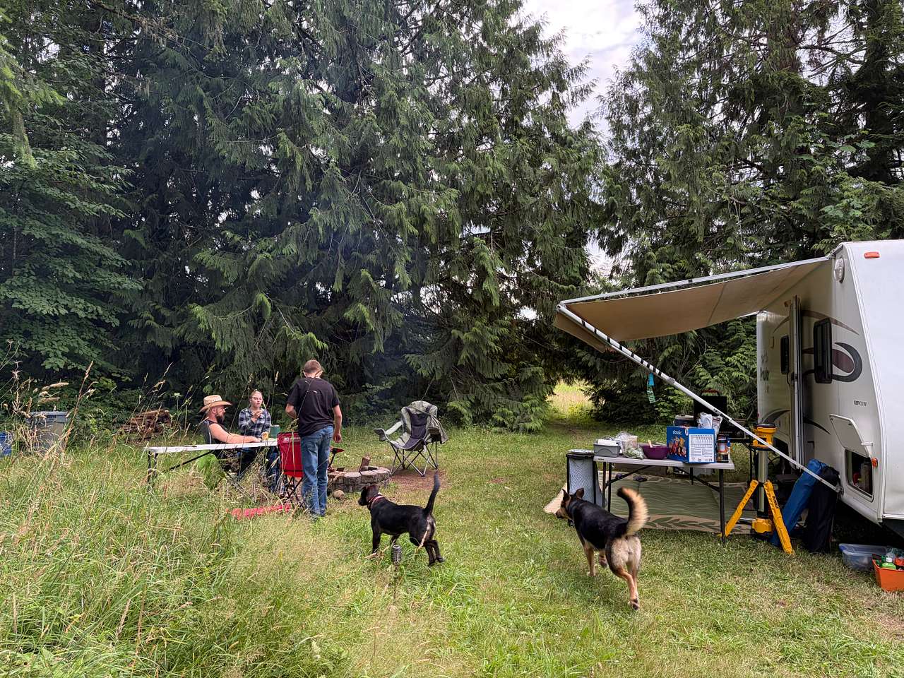 Salmonberry Meadows