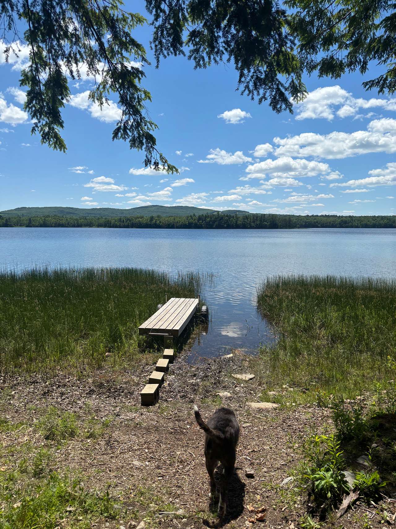 Cabin of the Woods at Tilden Pond
