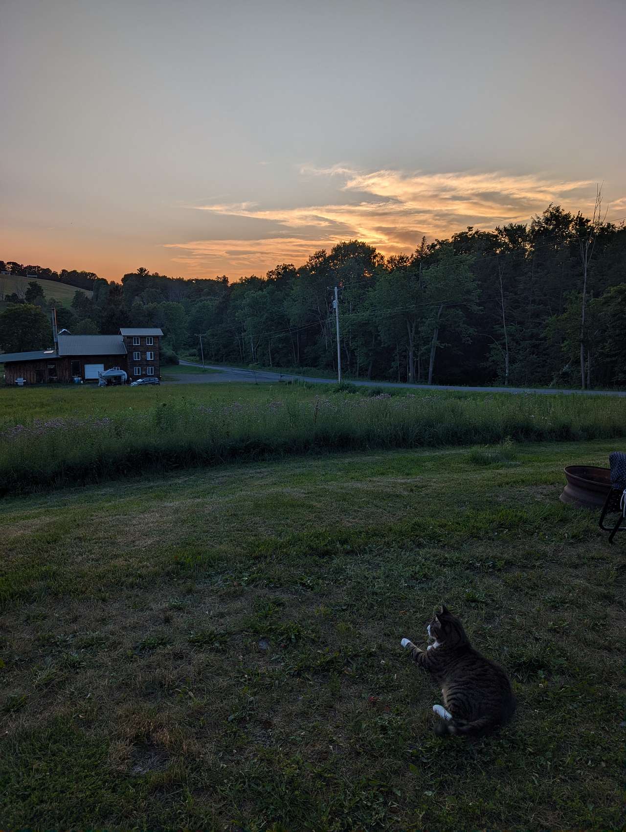Firefly field