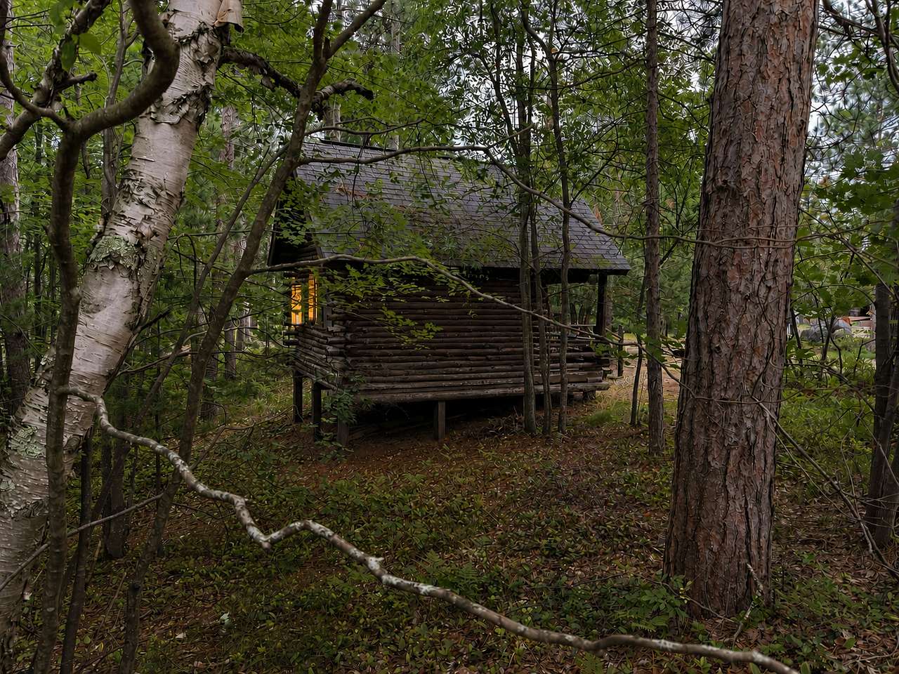 Viking Cabin