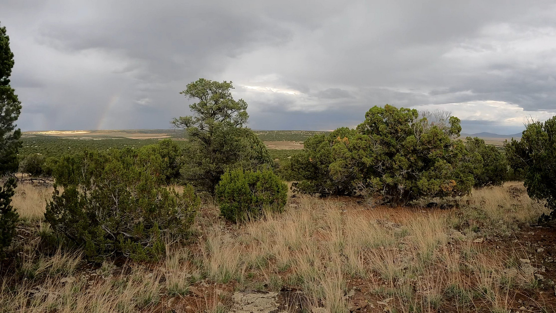 Ridge Valley Ranch