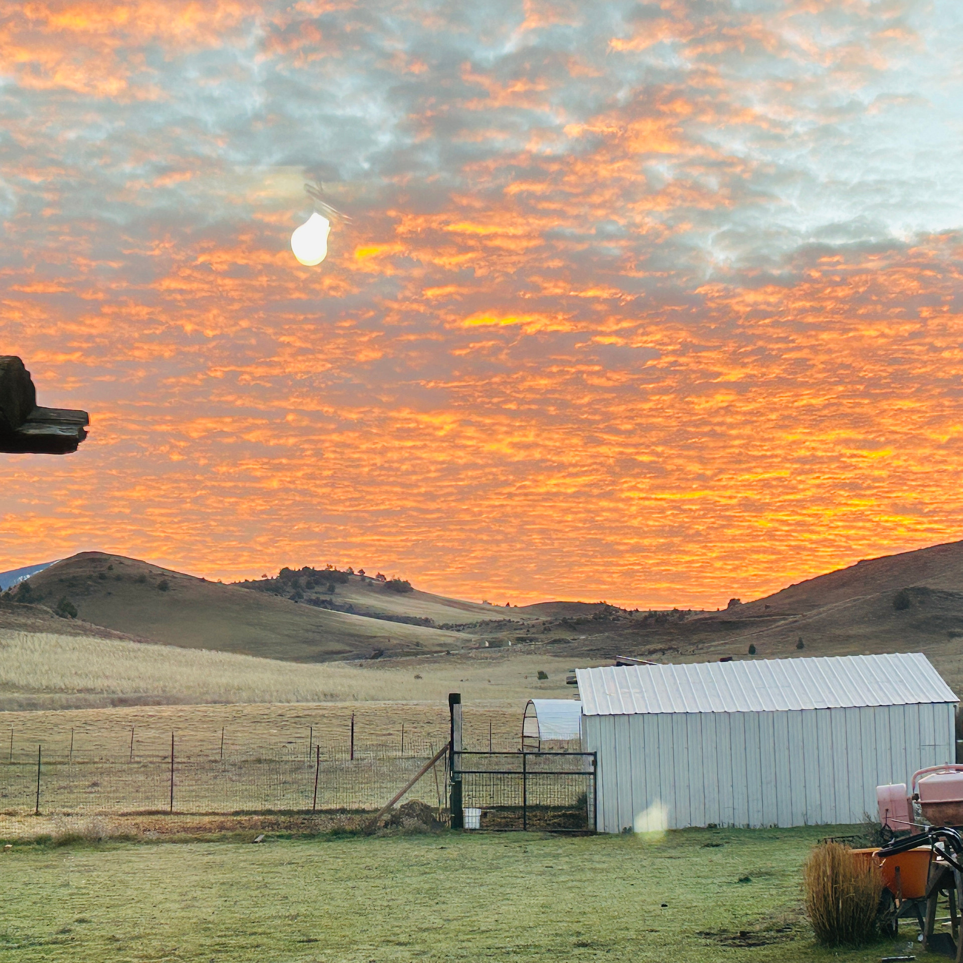 Crookedhouse Ranch in Shasta Valley