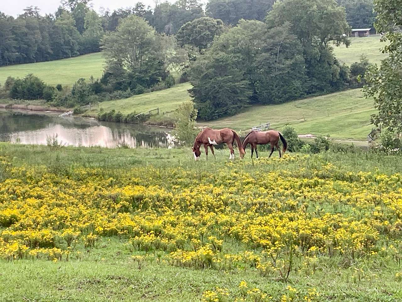 Circle M Ranch