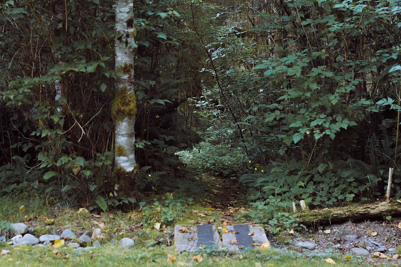 Secluded path on property. 