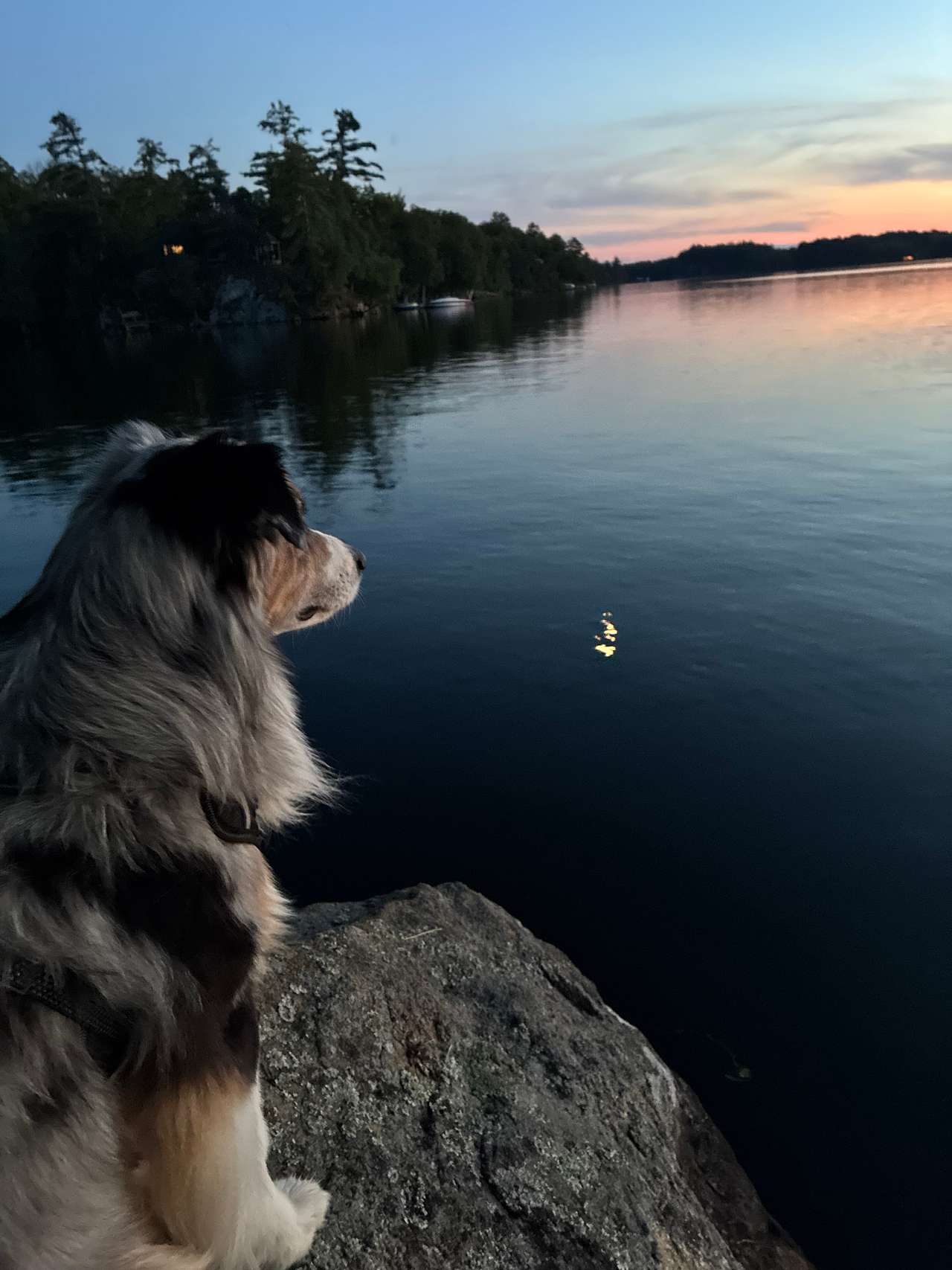 Handsome guy taking in the sunset. 