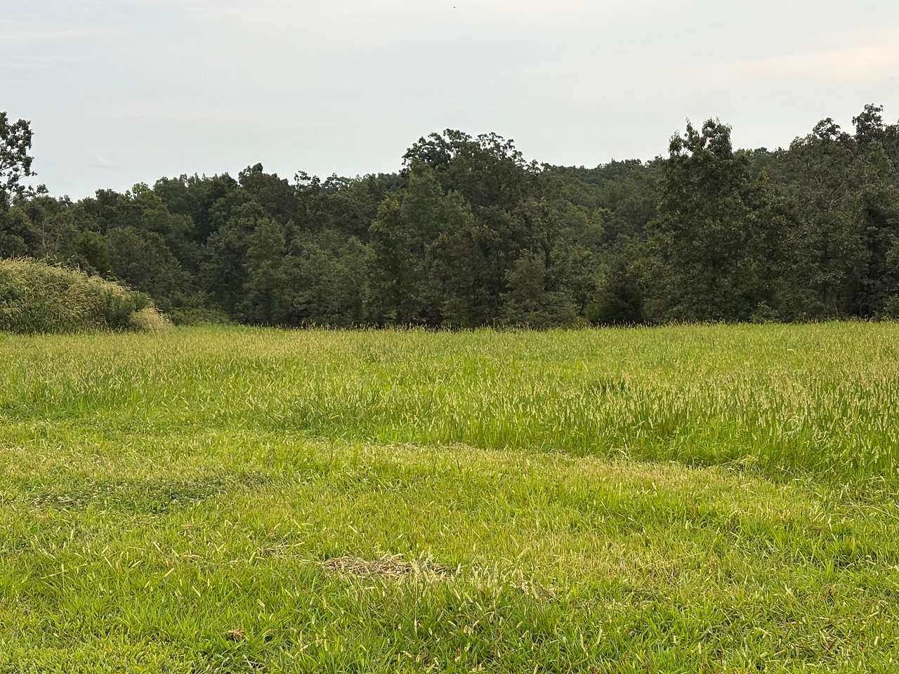 M&S Ranch