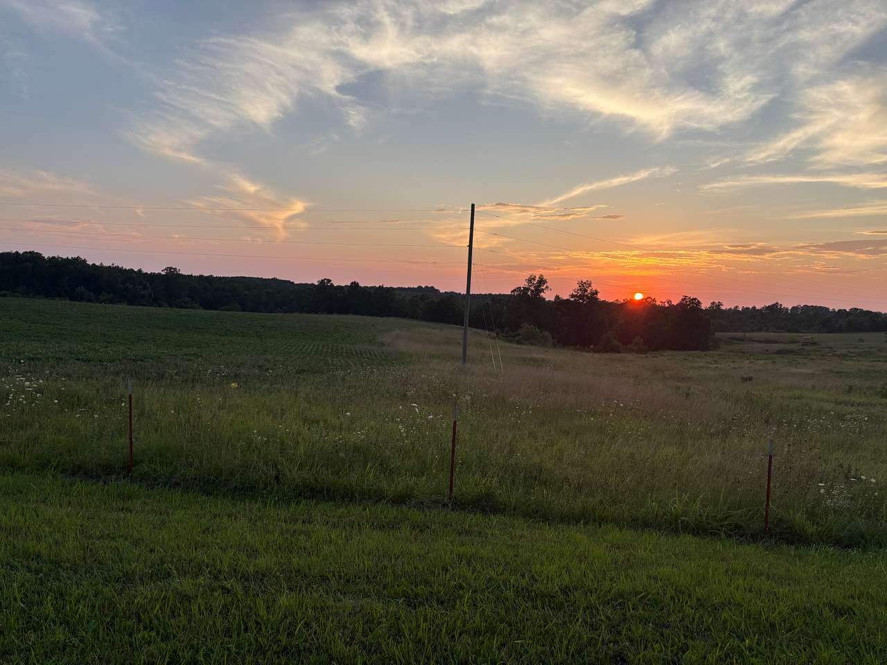 M&S Ranch