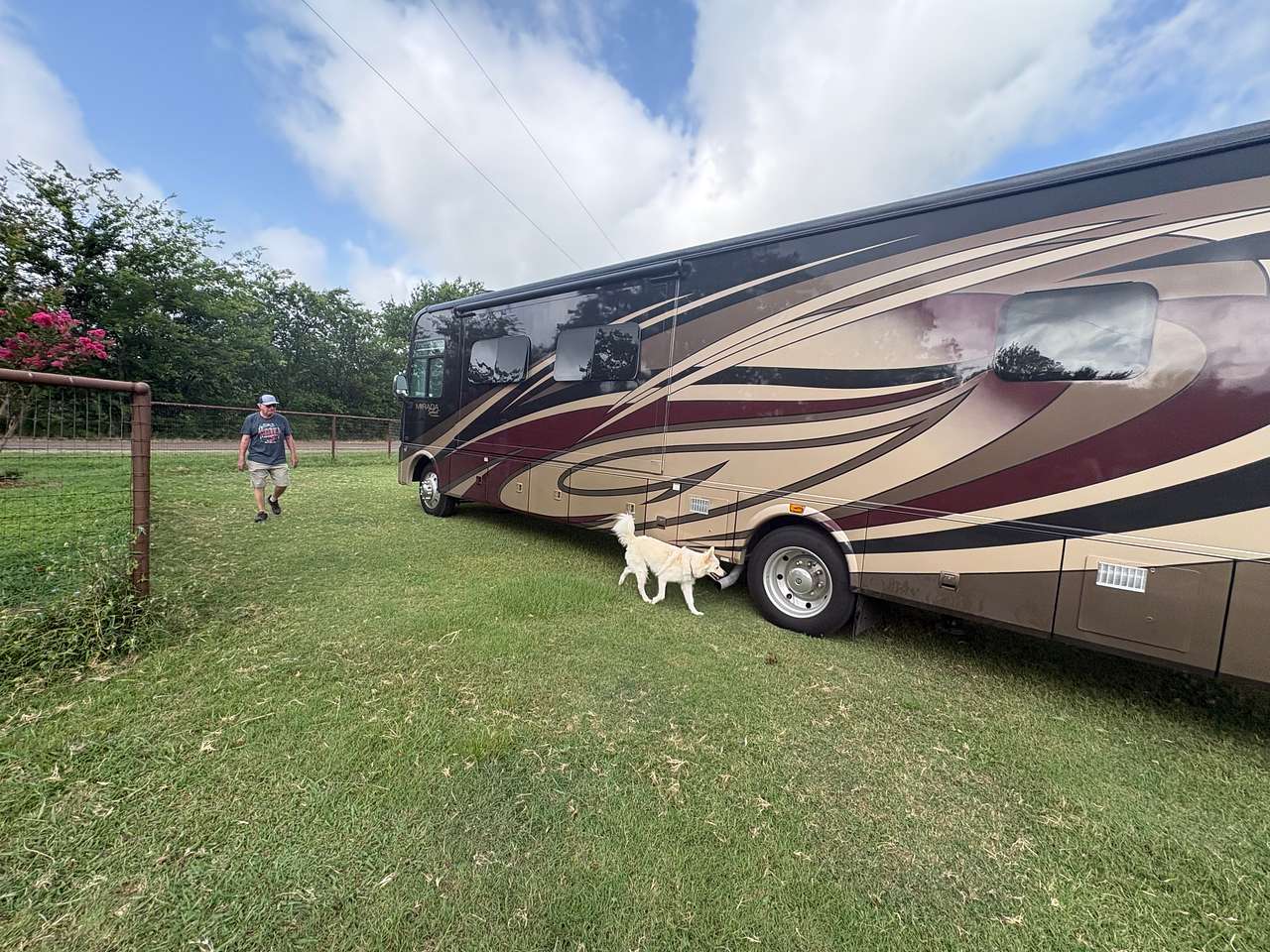 Golden Curls Ranch