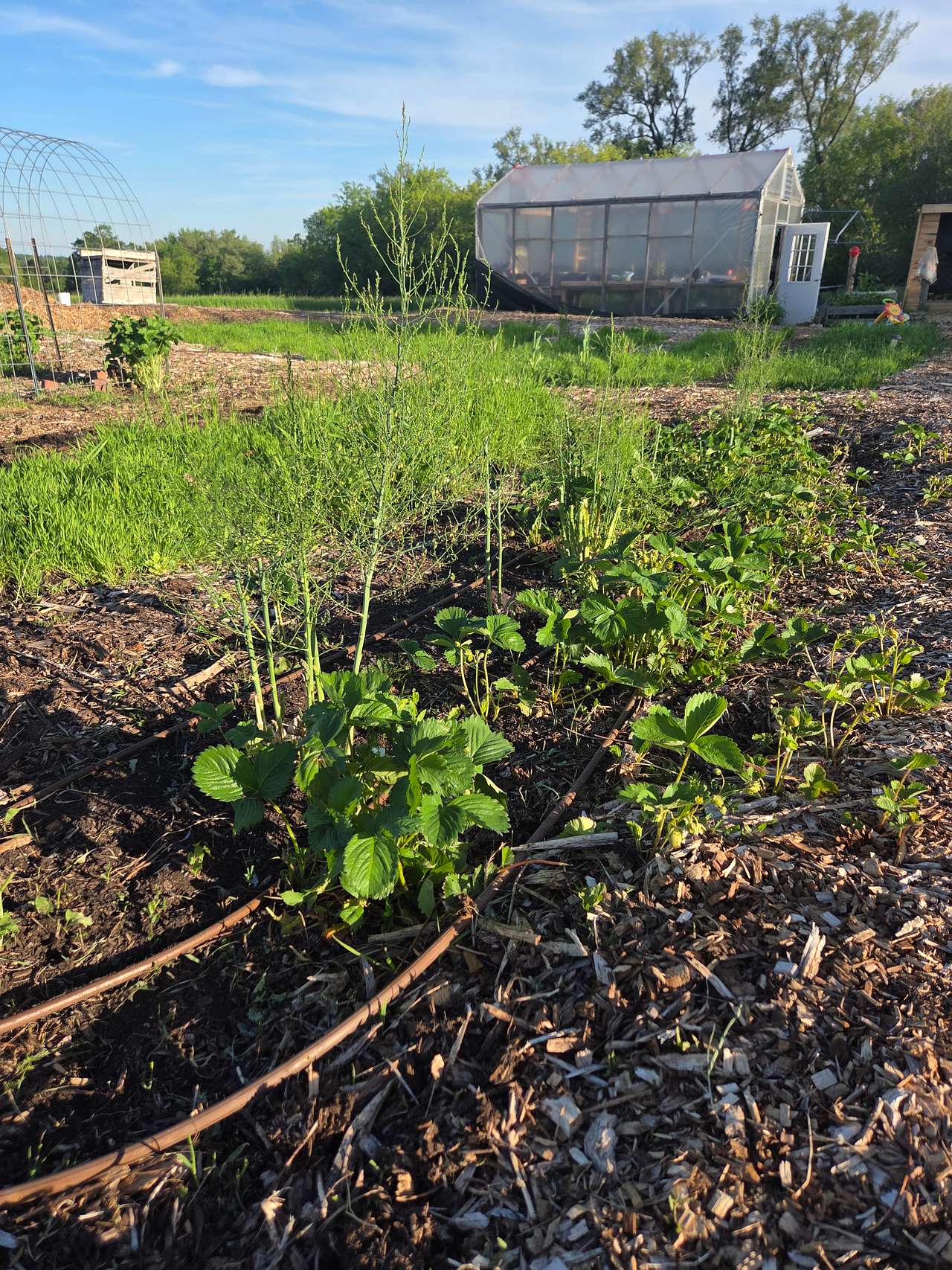 PolyGreen Acres