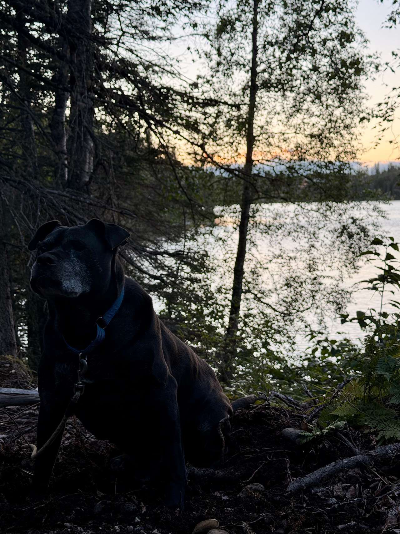 Evenson Heritage Lodge in Kenai