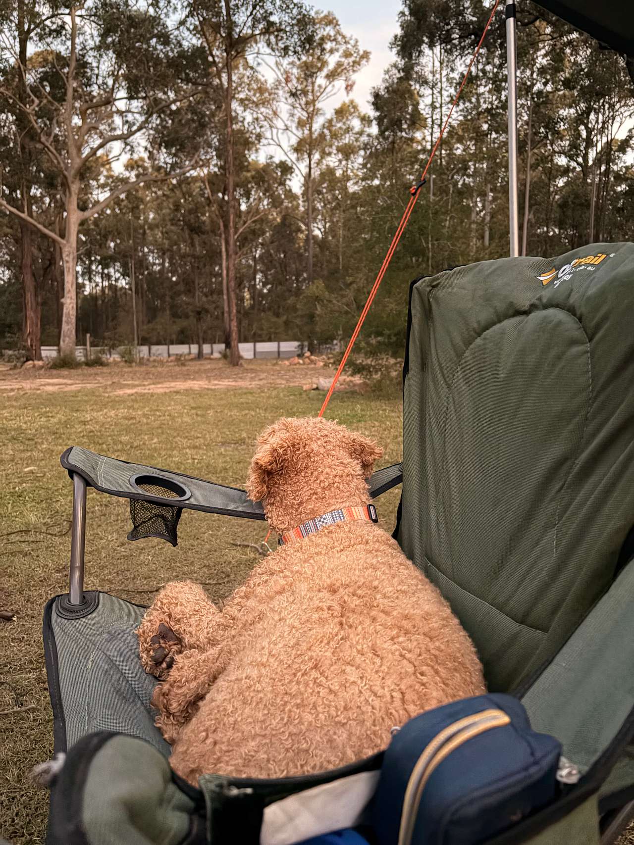 Ironbark Down