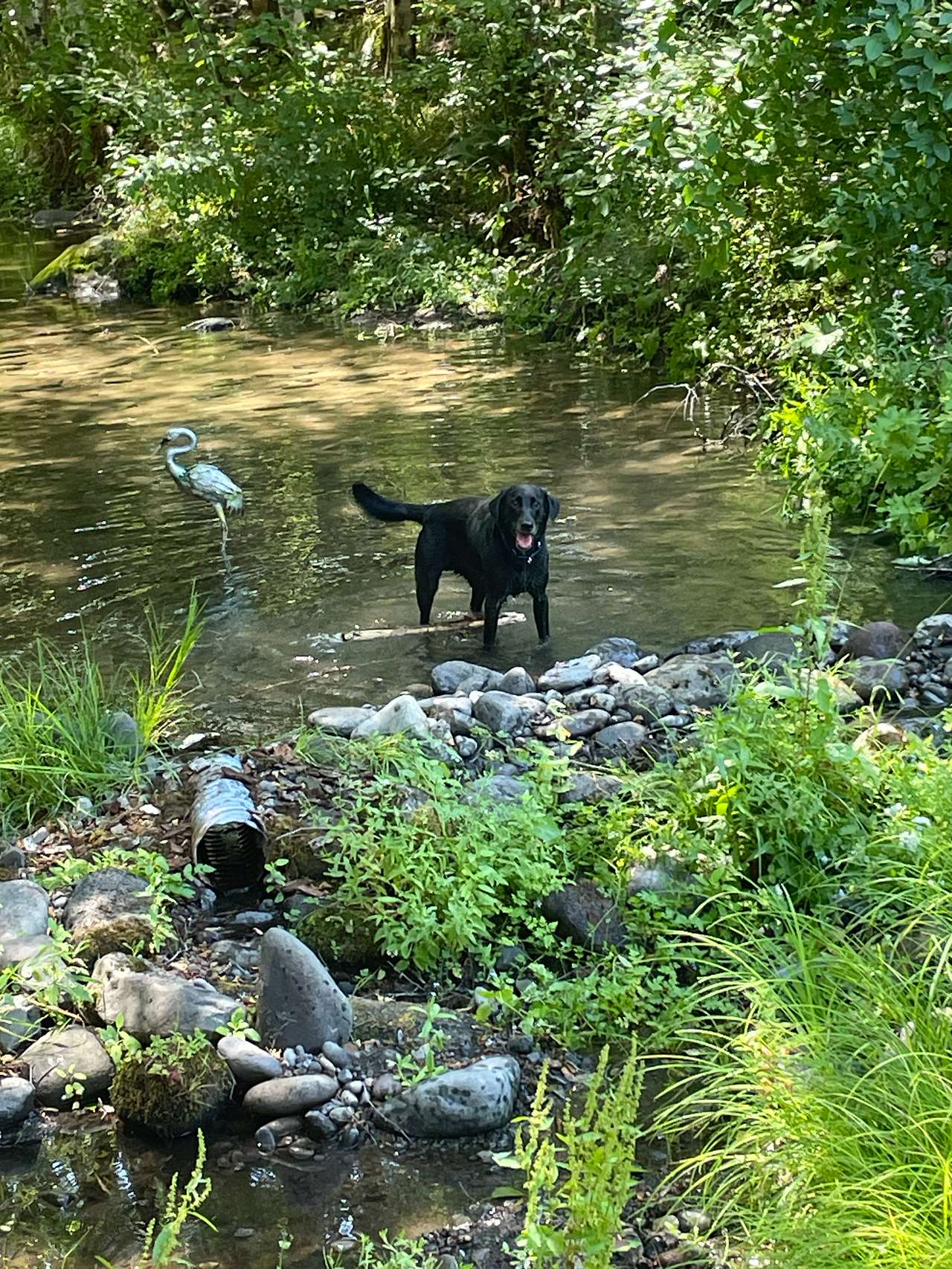 Rushing RiverRetreat
