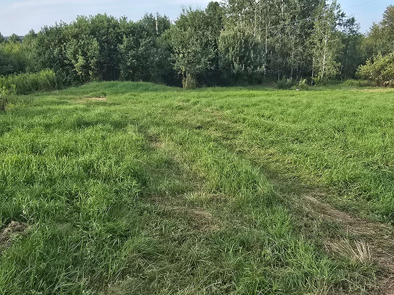 Cow Team Campsites