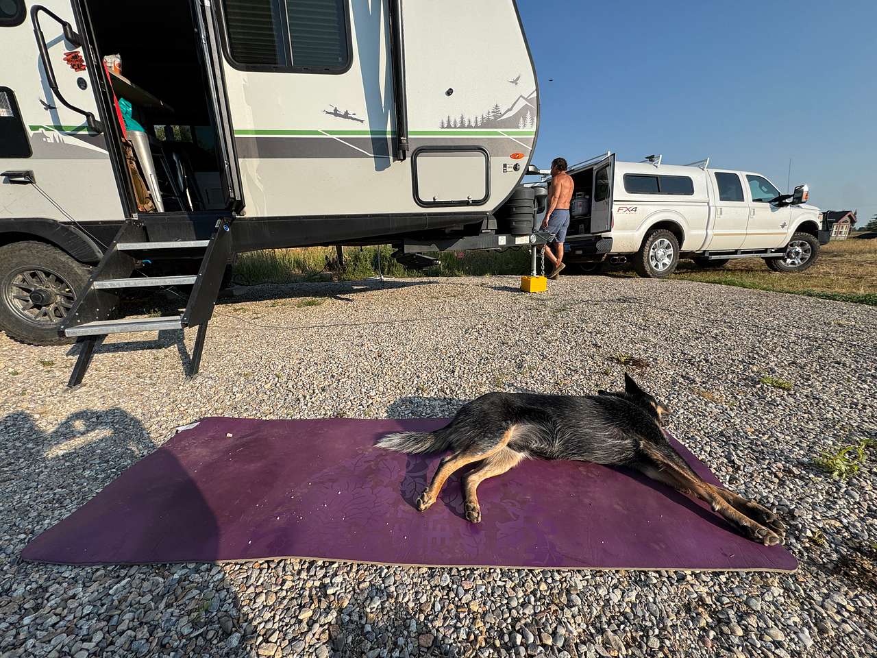 Downward dog!