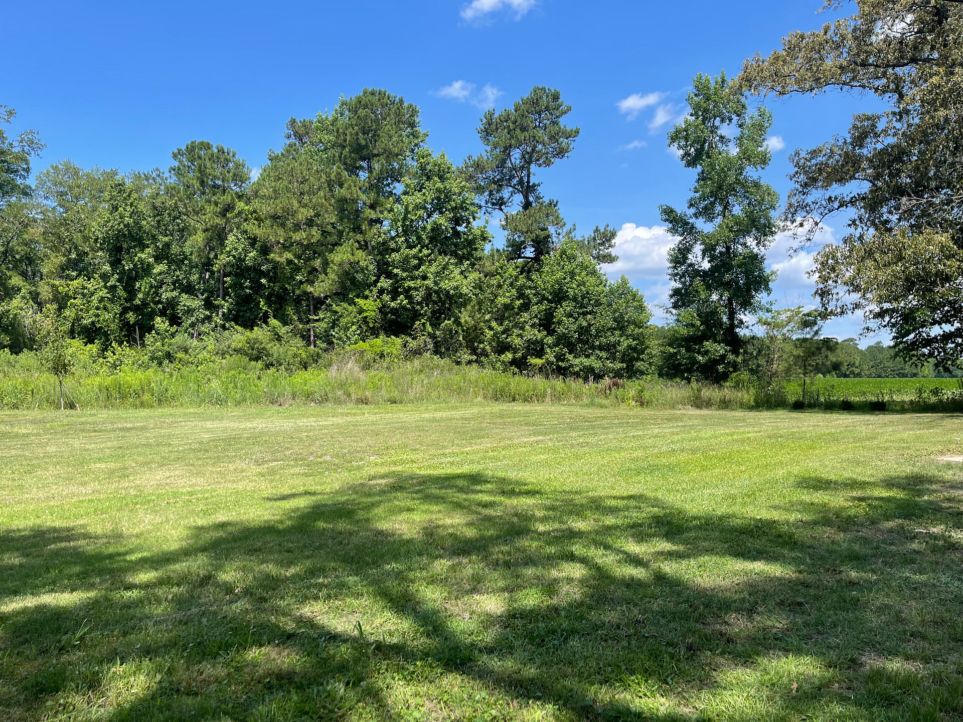 Red Bluff Country and Coastal Campsite