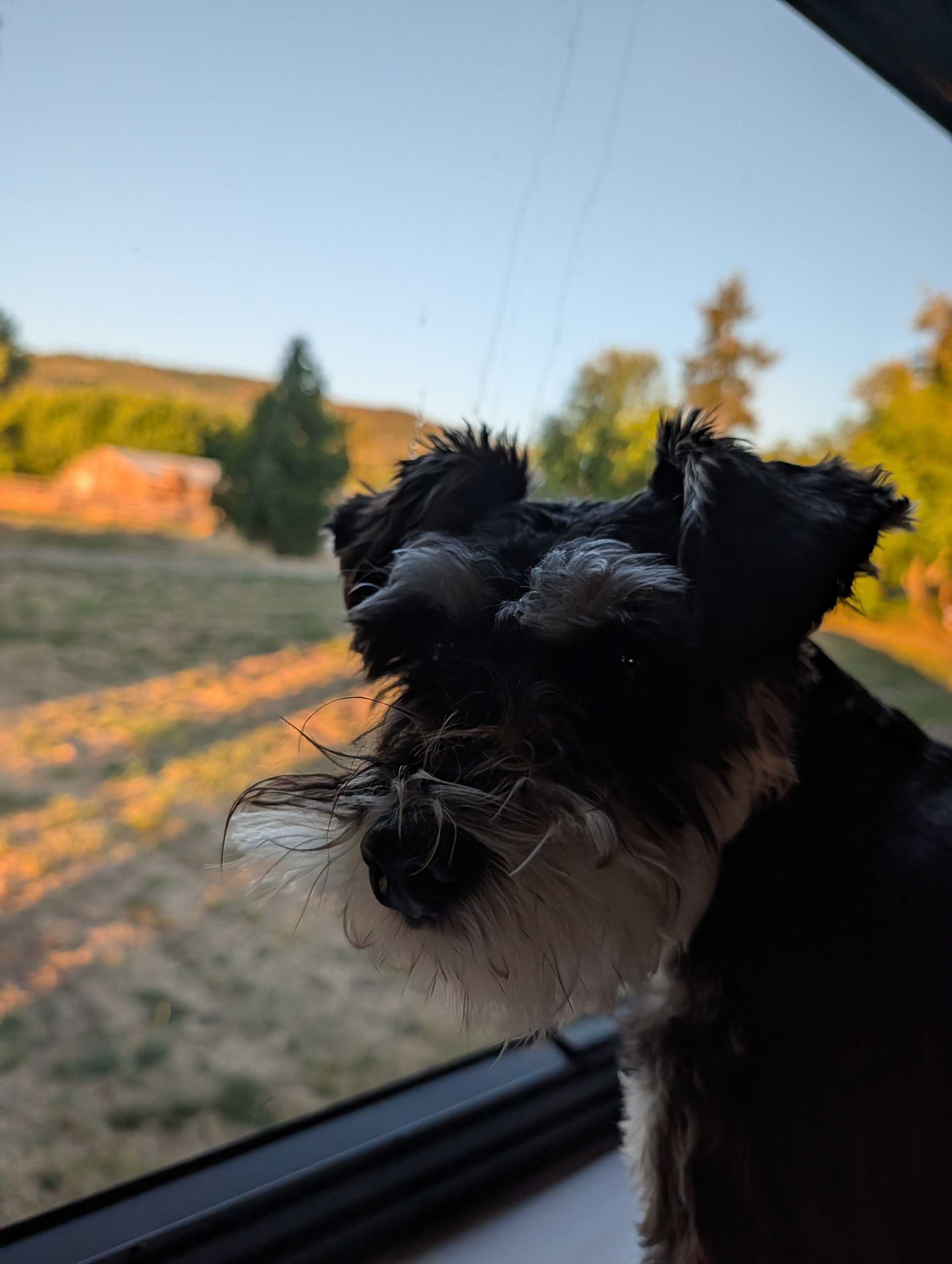 Wild Hare Farms
