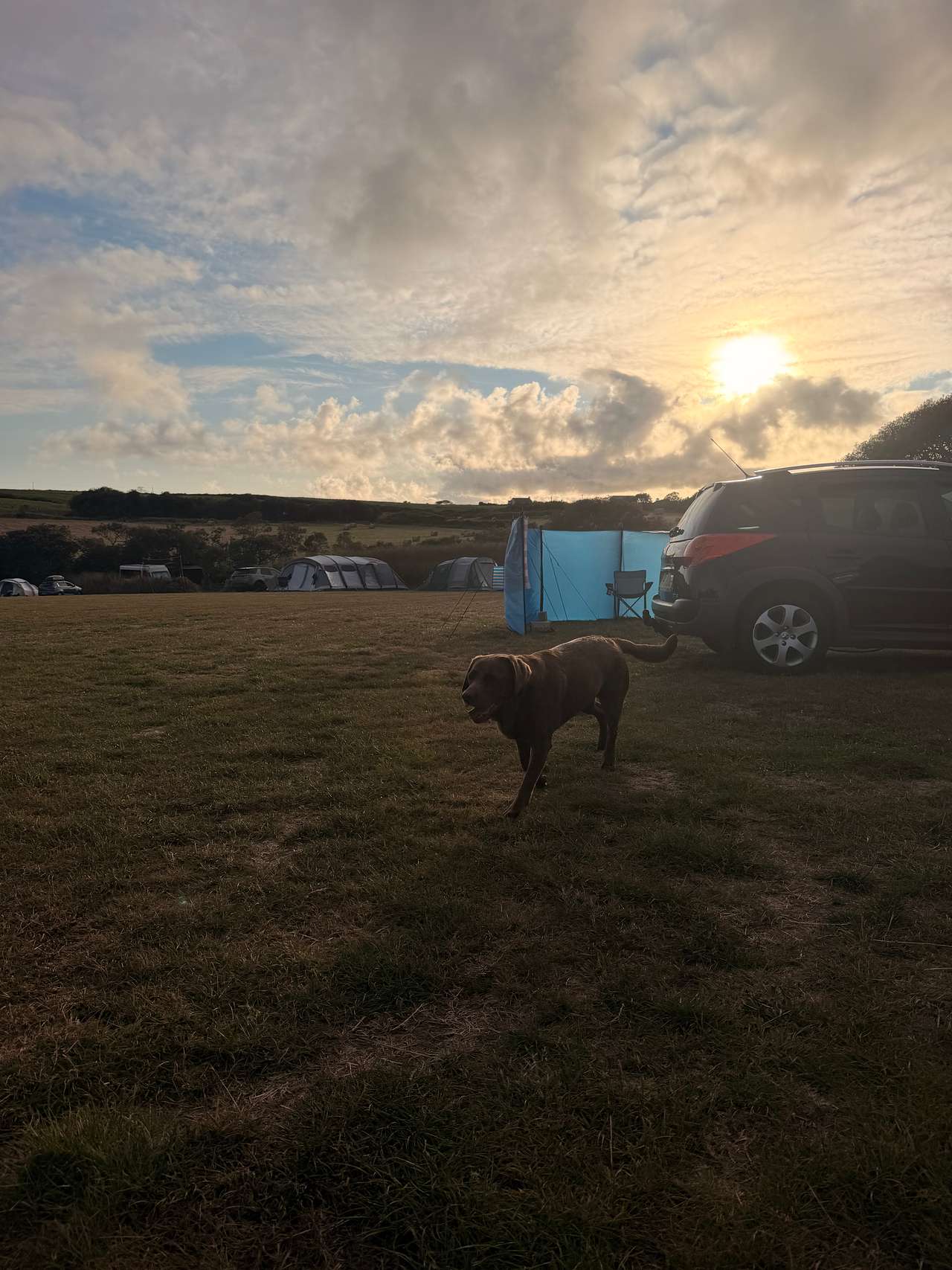 Tregella Place Camping