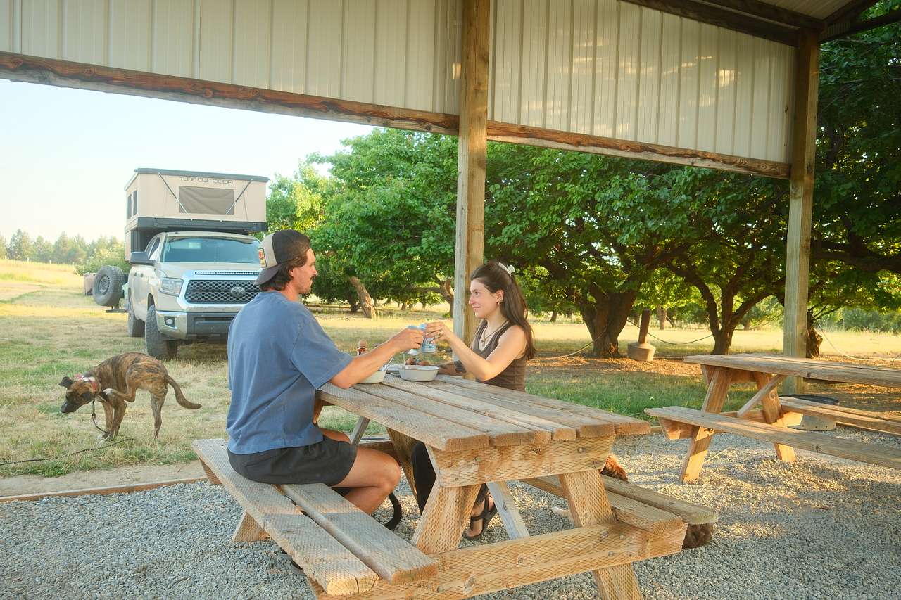 dinner at picnic tables