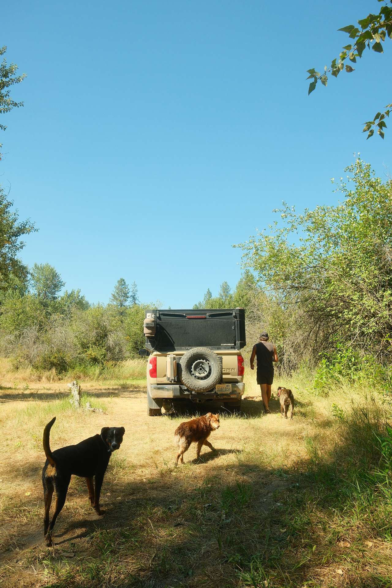 time to set up camp