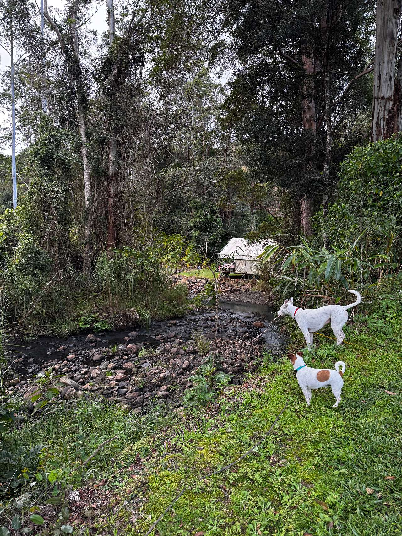 Trickling Waters Retreat