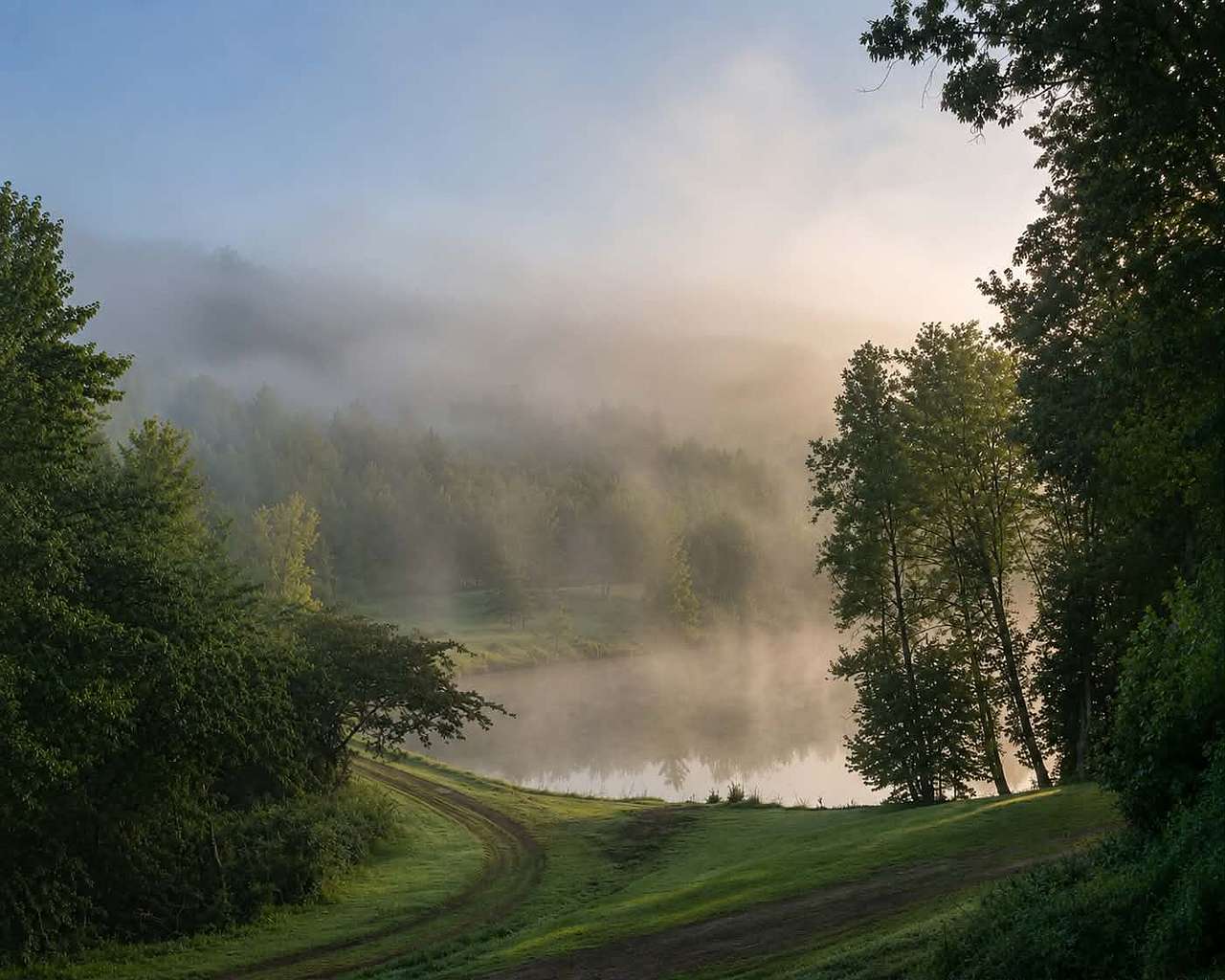 Gray Hills