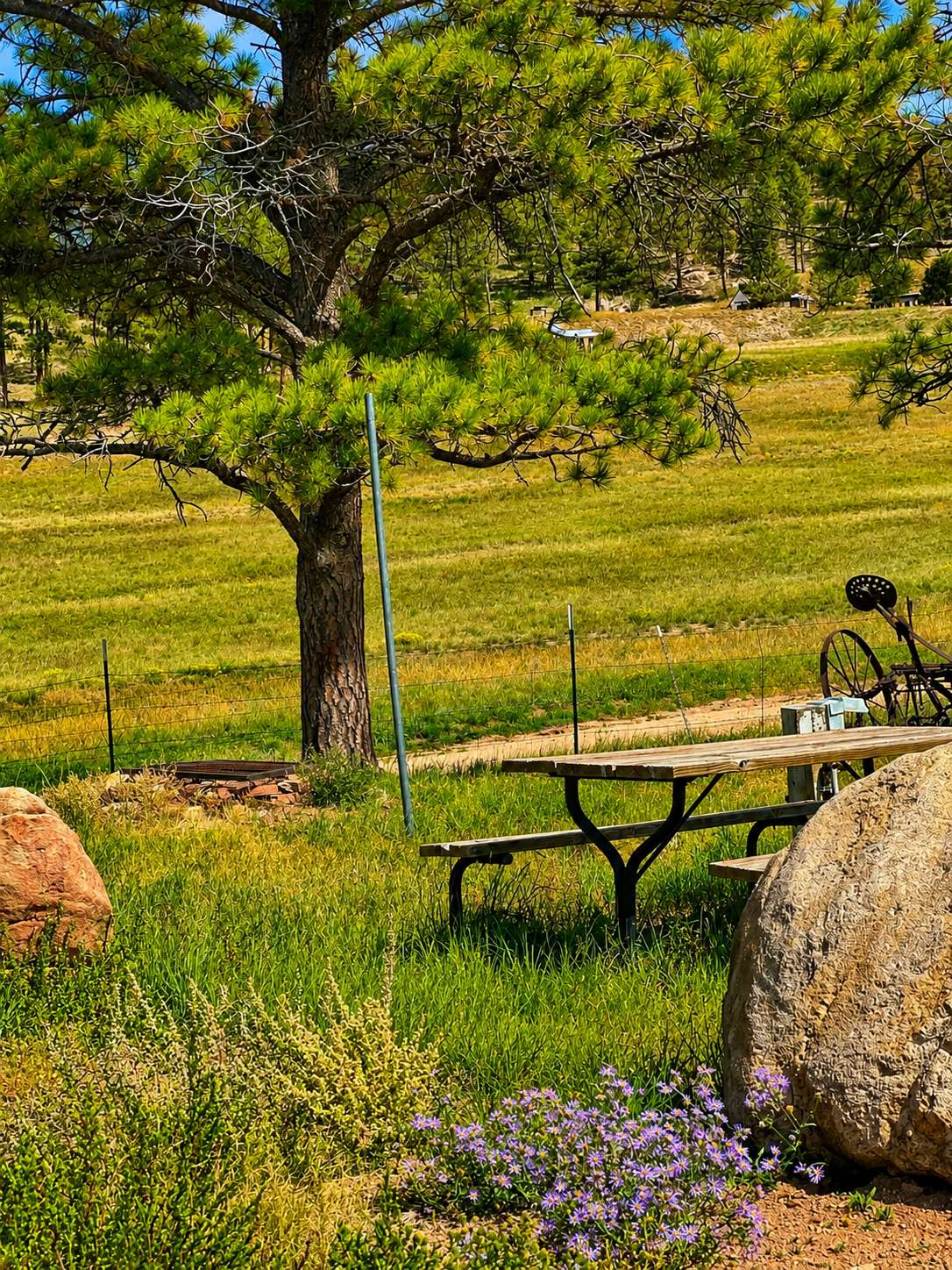 M Lazy C Ranch