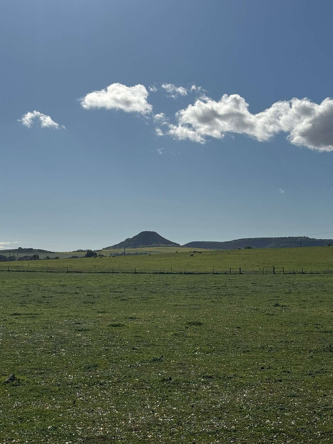 Cutubury Farm
