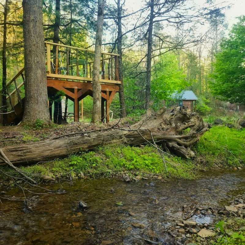 Beorn's Bower