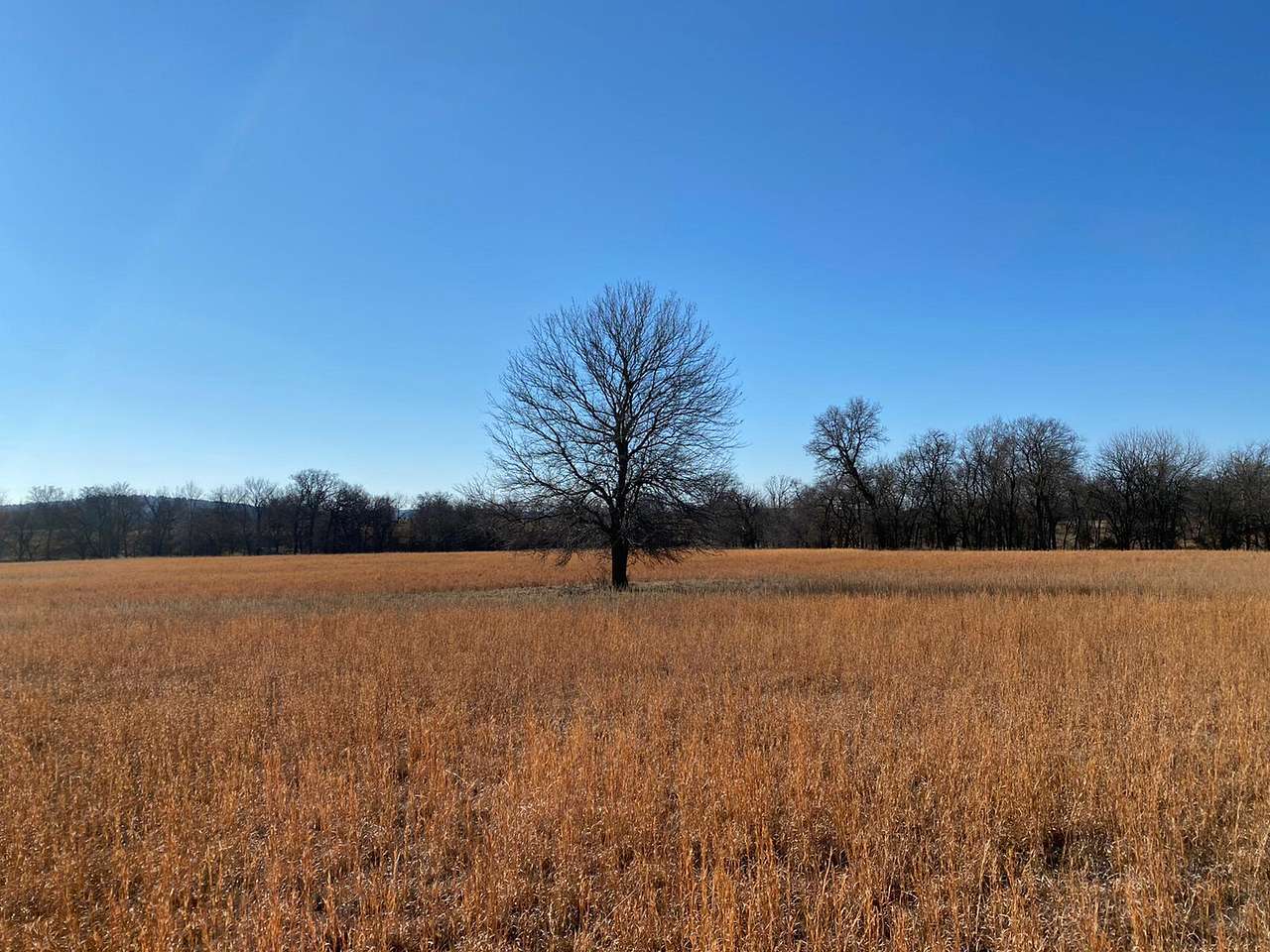Private 80-Acre Oklahoma Escape