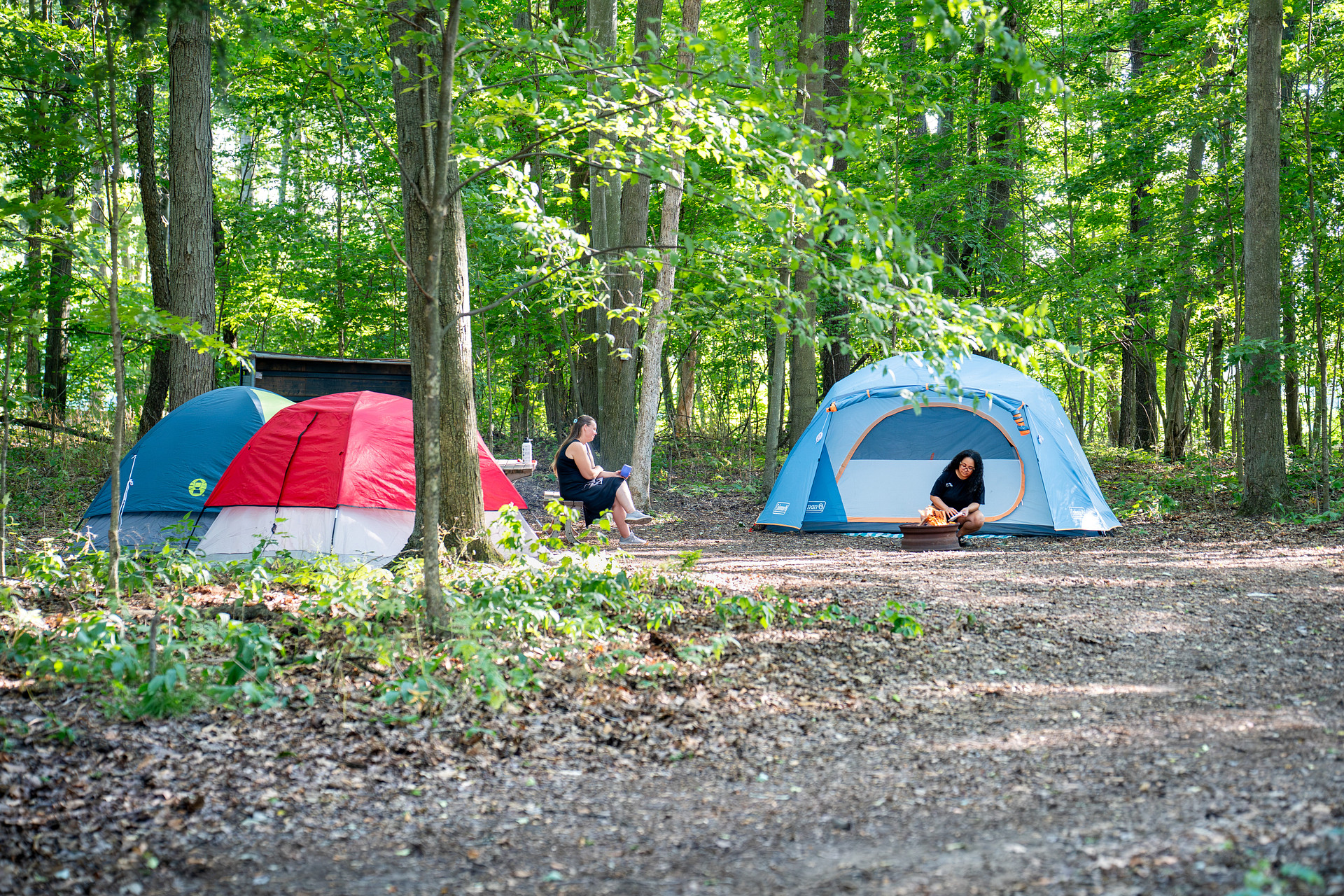 Spring Arbour Magic Forest &Trails!