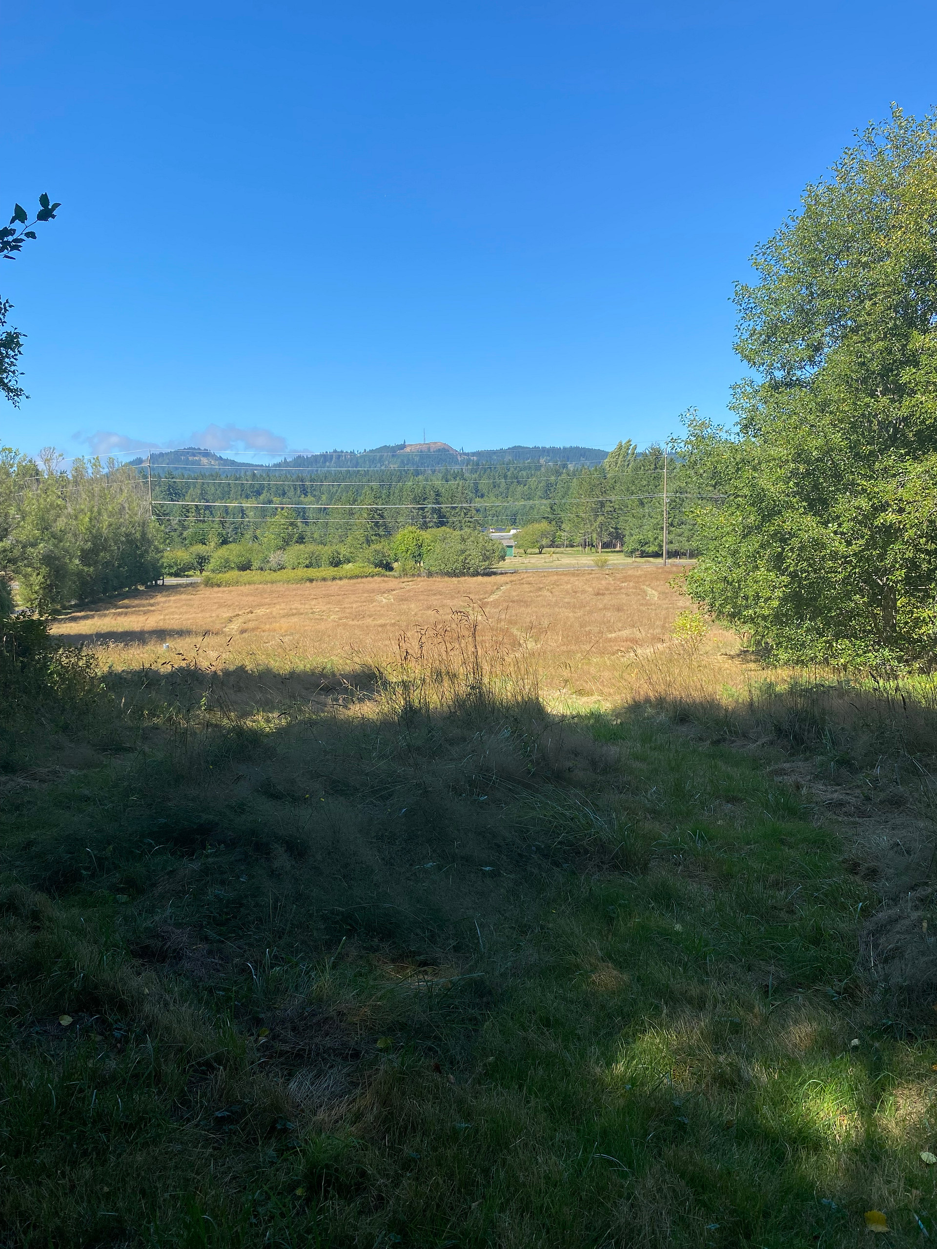 High Hopes Farm