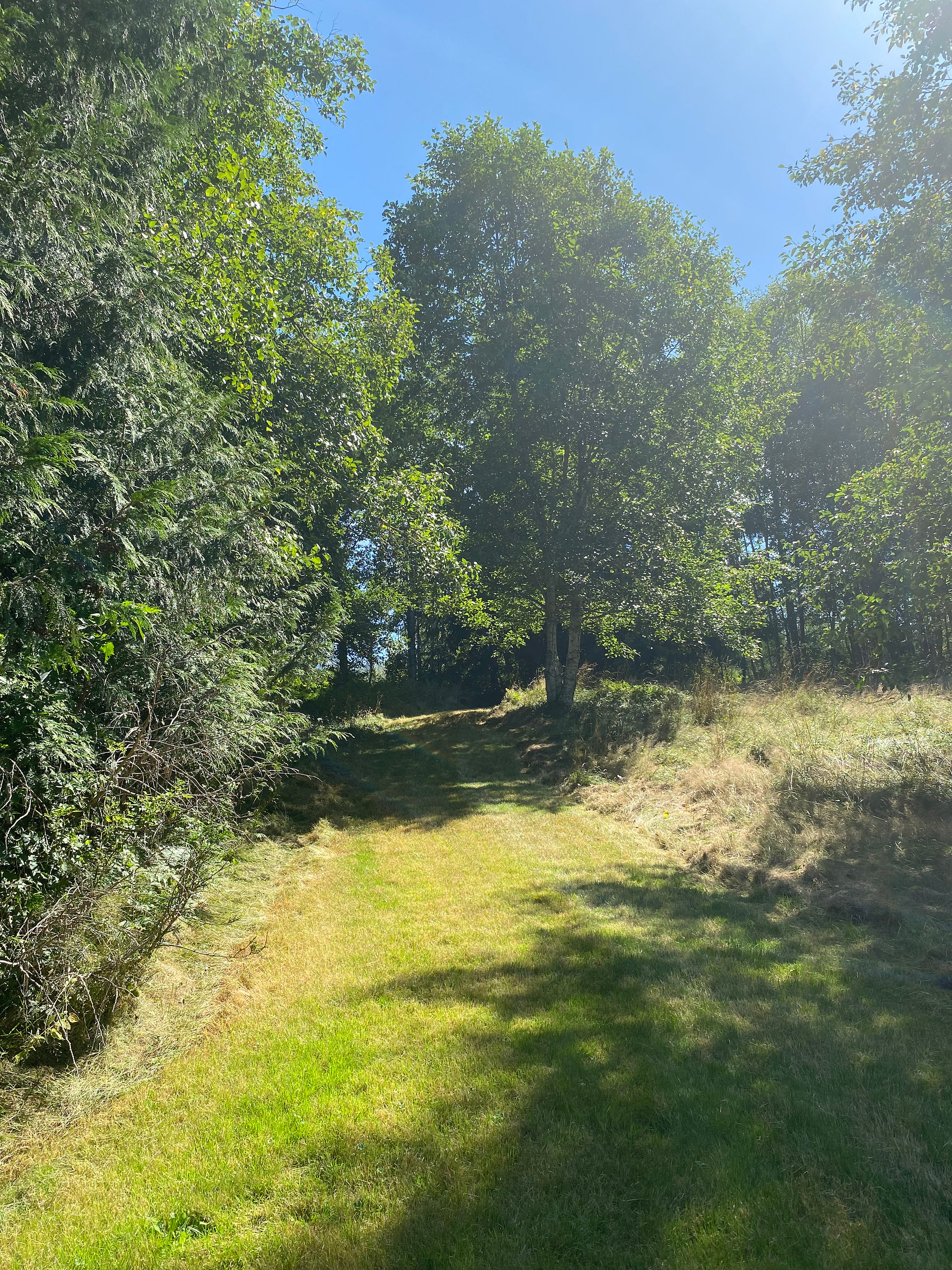 High Hopes Farm