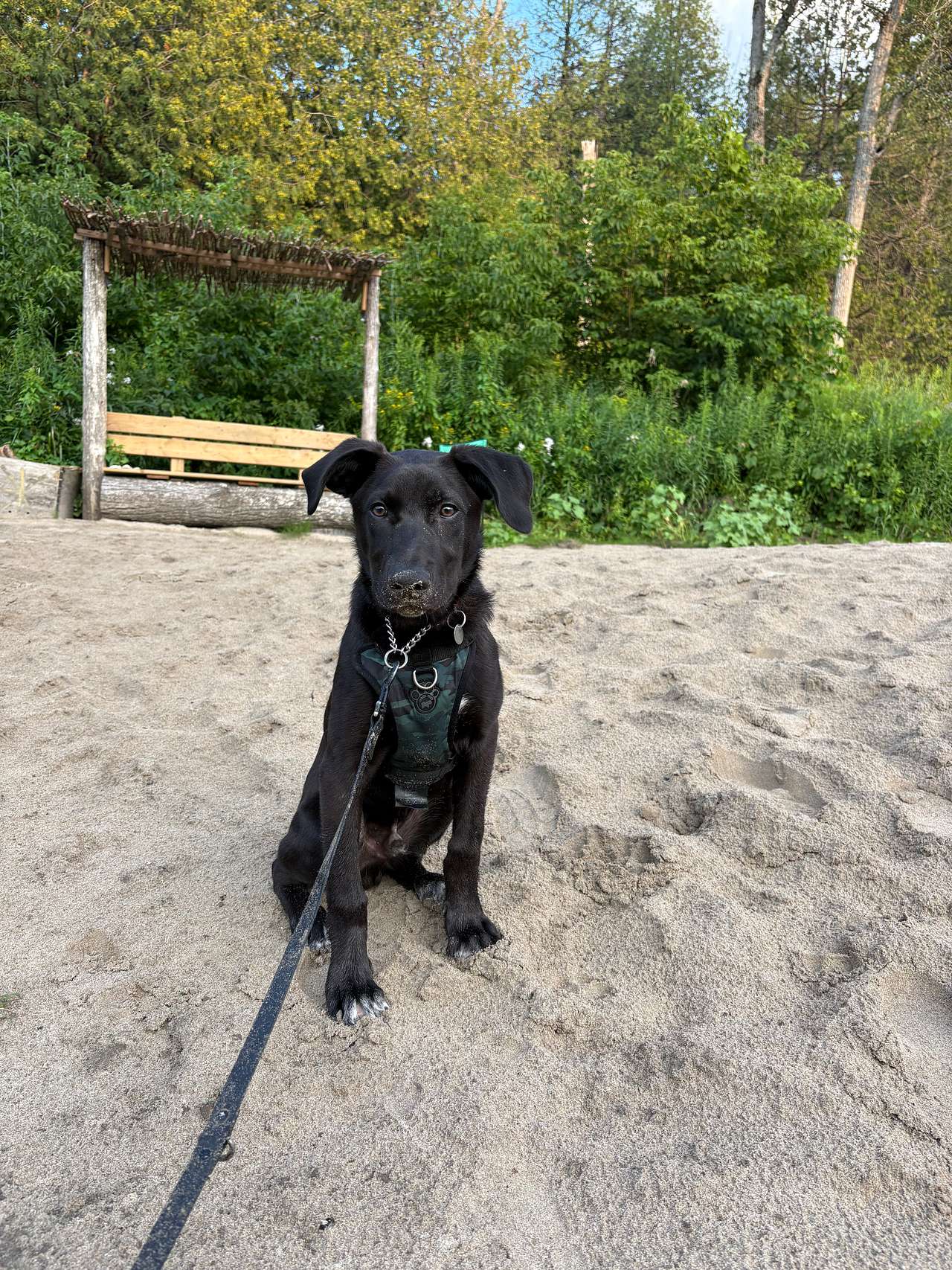 Enjoying the beach area