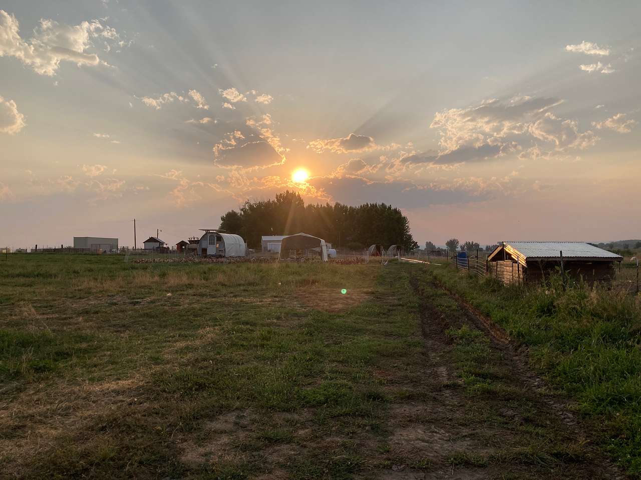 Folk Farm
