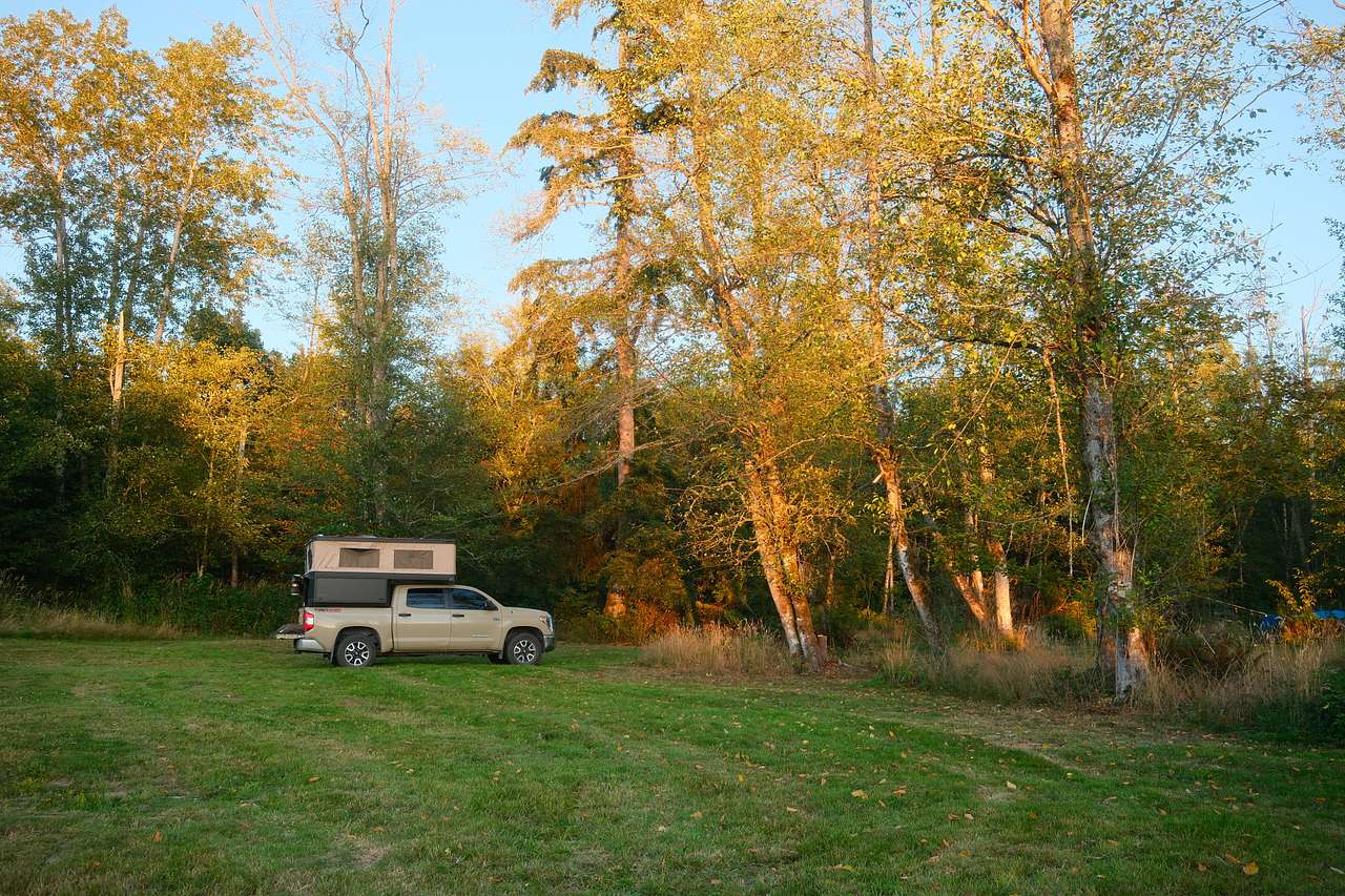 site 6