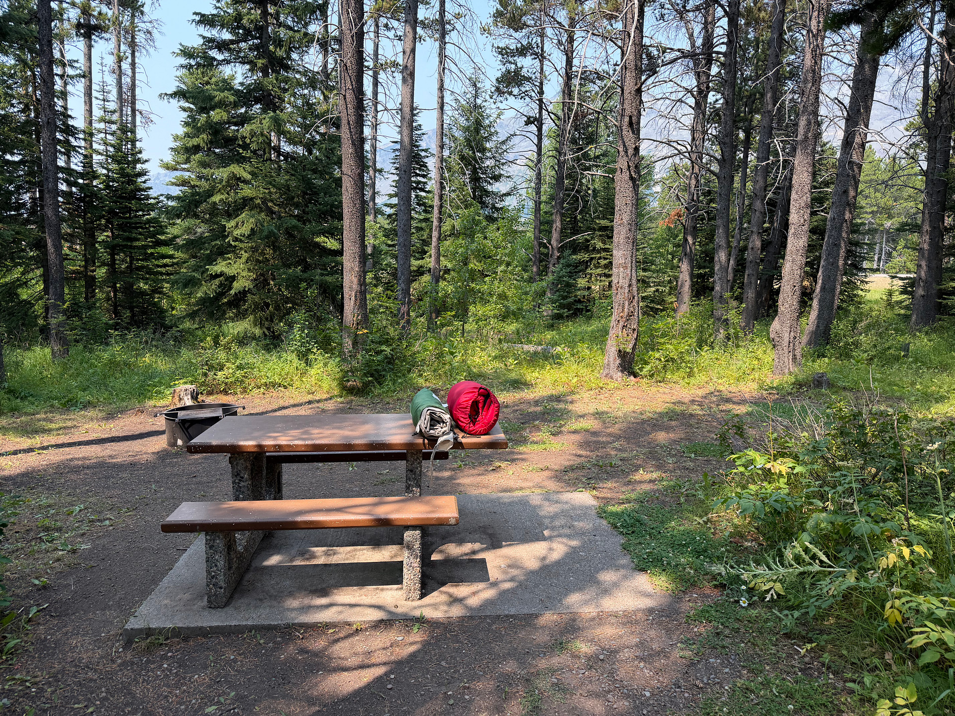 Helena-Lewis and Clark National Forest