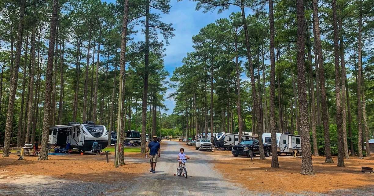 Sycamore Lodge Resort