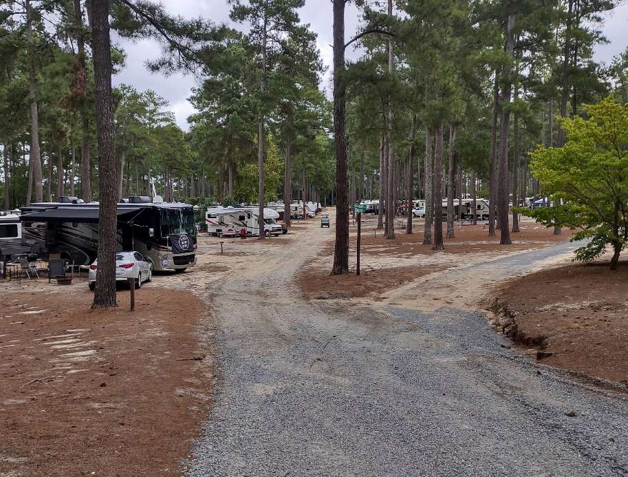 Sycamore Lodge Resort