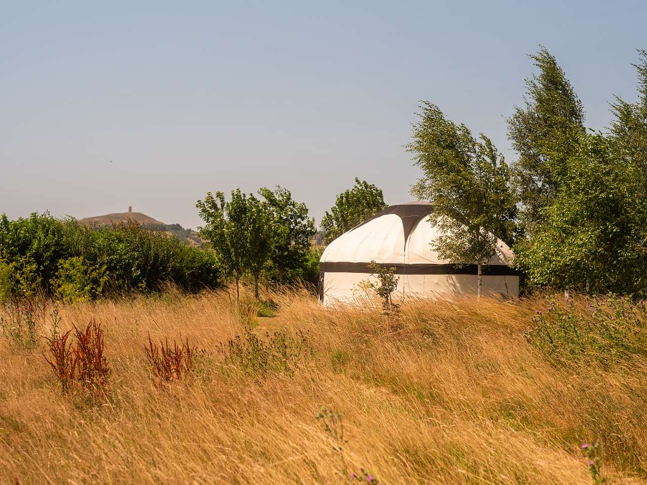Glastonbury Wild Glamping