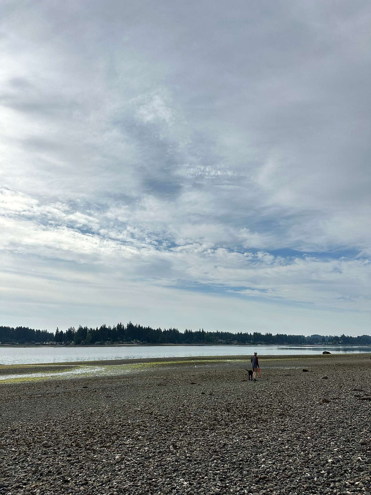 A lovely walk on the beach at low tide. 