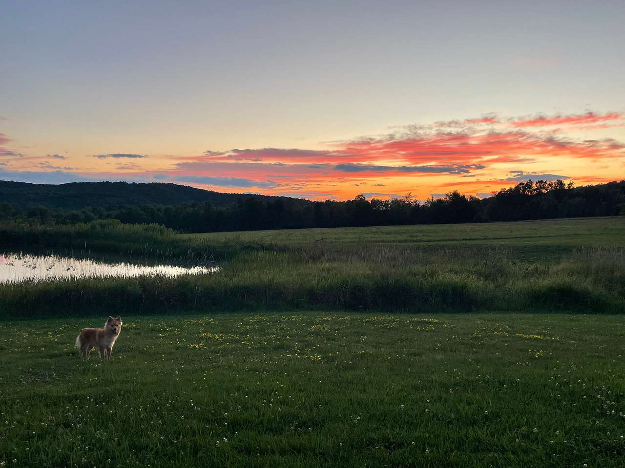 Greenbush Farm