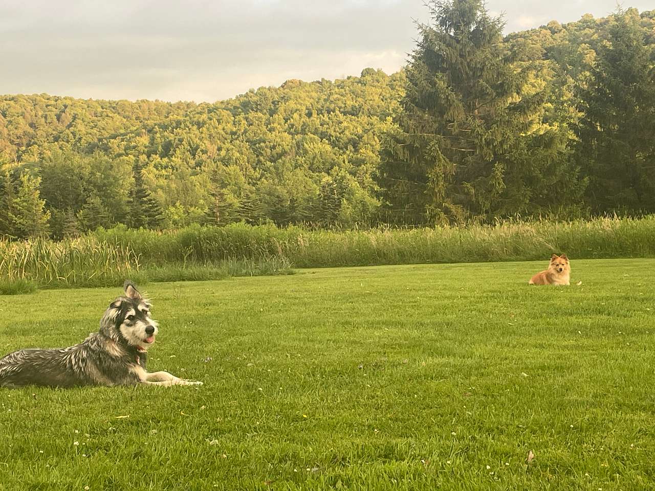 Greenbush Farm