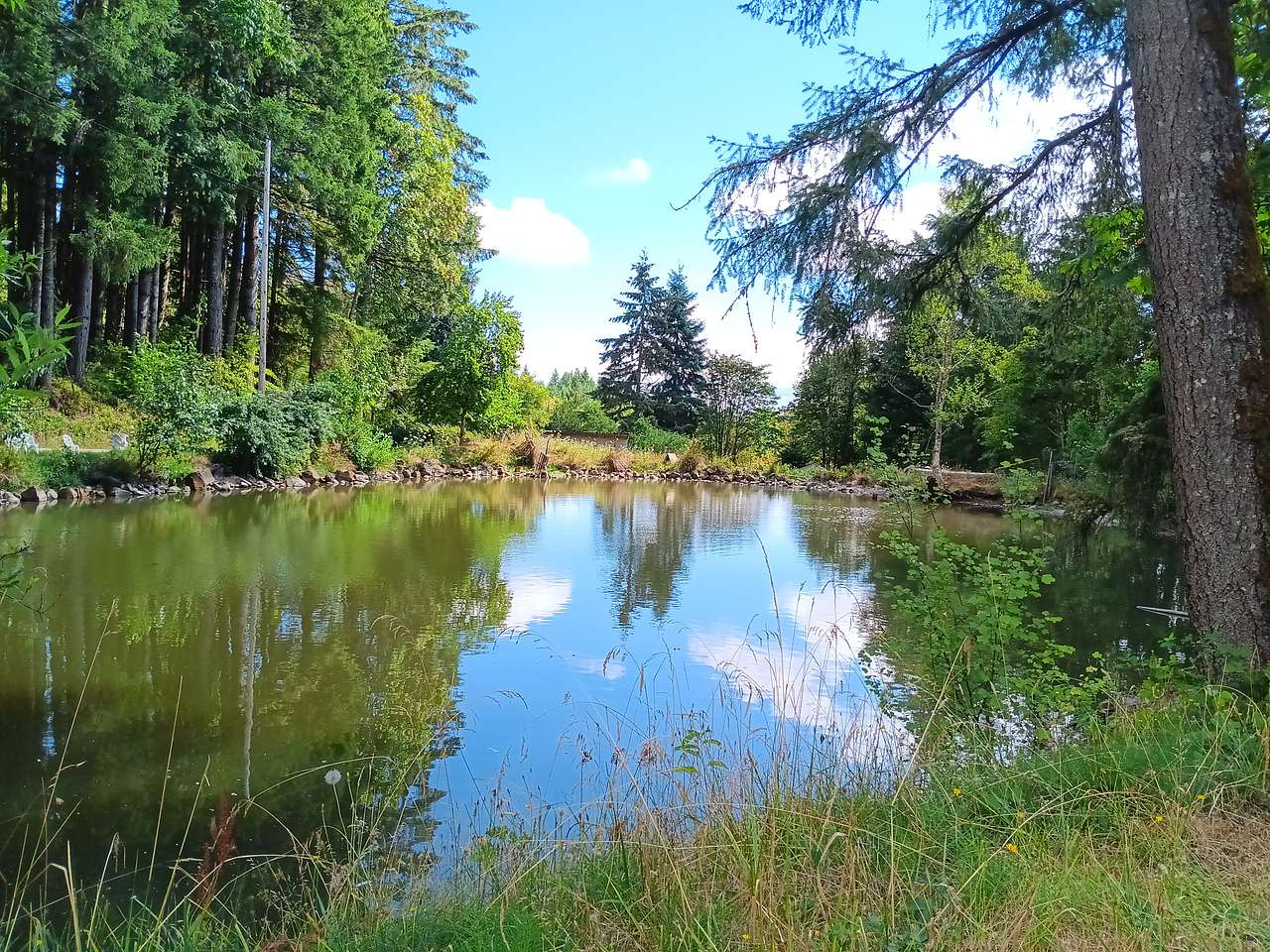 Right by picnic table and lounge chairs.