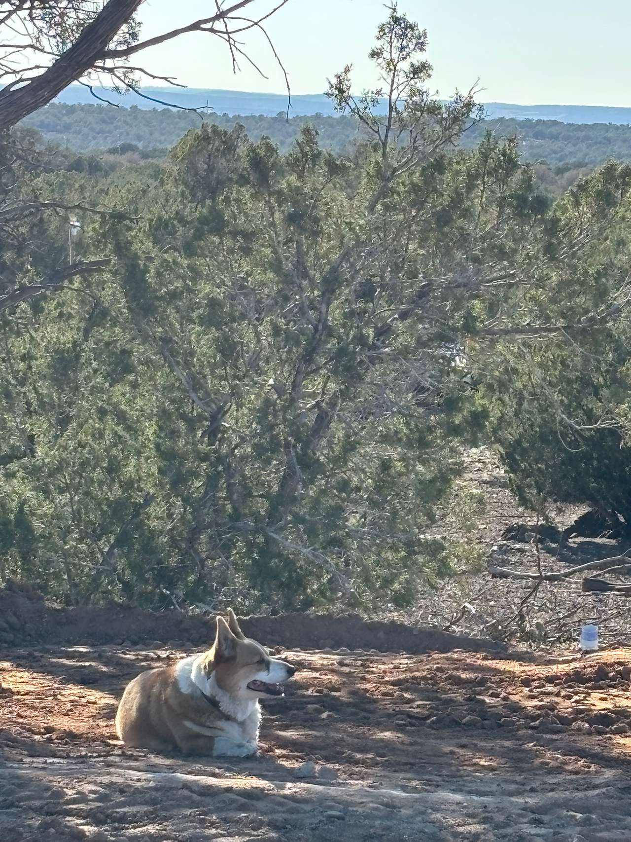 Creek Watchers Ridge