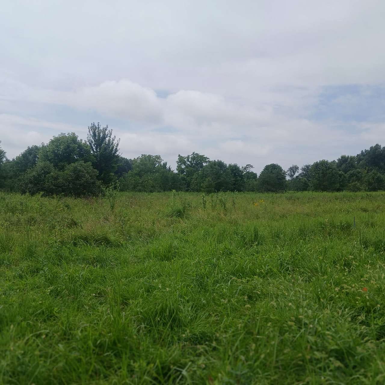 Peaceful Country Setting