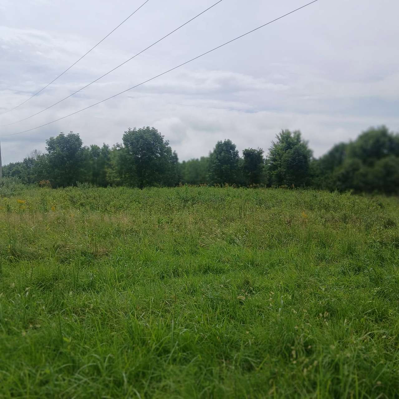 Peaceful Country Setting